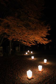 japanese-garden-lights-48_9 Японски градински светлини