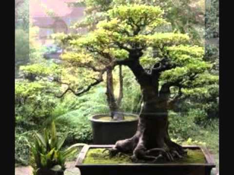 japanese-garden-meditation-24_2 Японска градина медитация