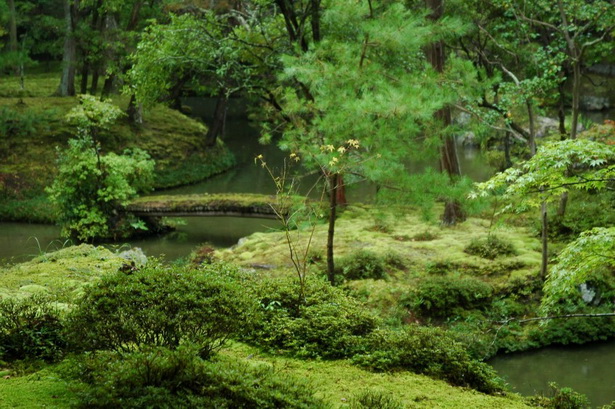 japanese-garden-moss-39_10 Японски градински мъх