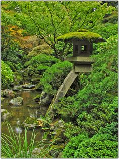 japanese-garden-moss-39_11 Японски градински мъх