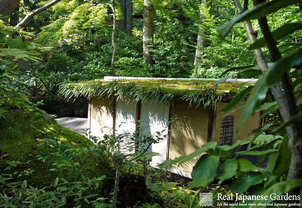 japanese-garden-moss-39_12 Японски градински мъх