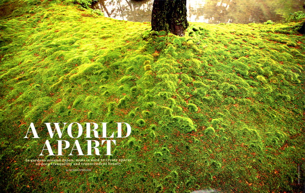 japanese-garden-moss-39_18 Японски градински мъх