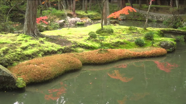 japanese-garden-moss-39_2 Японски градински мъх