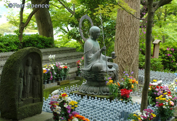japanese-garden-pictures-images-and-photos-73_3 Японски градина снимки изображения и снимки