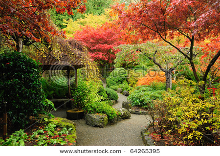 japanese-garden-plants-and-trees-06_11 Японски градински растения и дървета