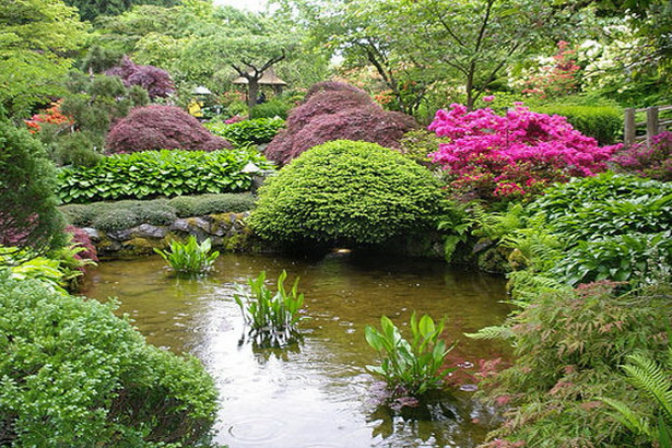 japanese-garden-plants-and-trees-06_12 Японски градински растения и дървета