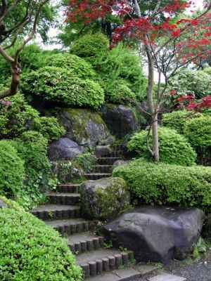 japanese-garden-plants-and-trees-06_5 Японски градински растения и дървета