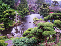 japanese-garden-plants-list-03_15 Списък на японските градински растения