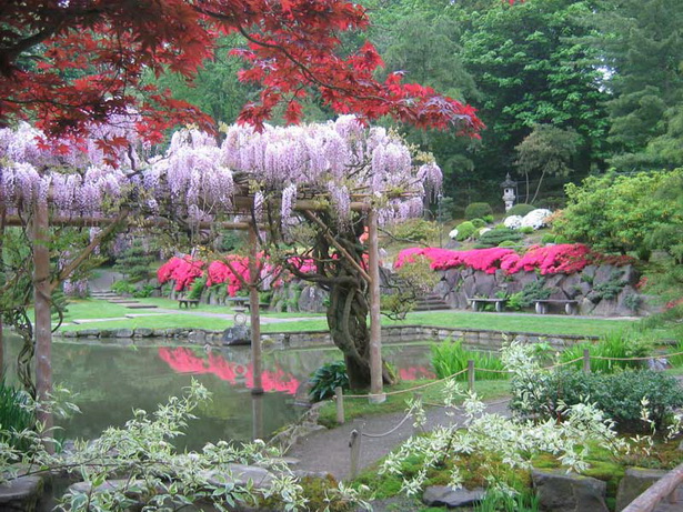 japanese-garden-plants-list-03_18 Списък на японските градински растения