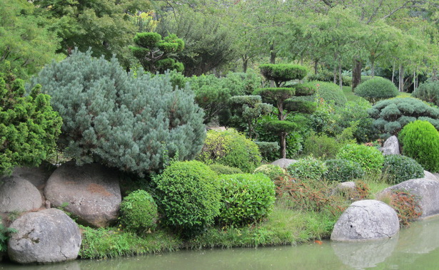 japanese-garden-plants-21_4 Японски градински растения