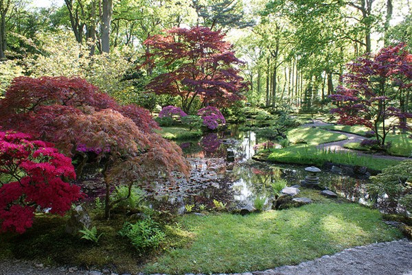 japanese-garden-plants-21_9 Японски градински растения