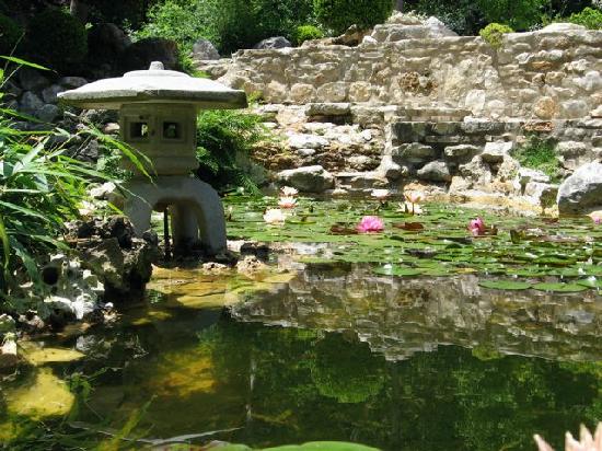 japanese-garden-pond-39_13 Японско градинско езерце