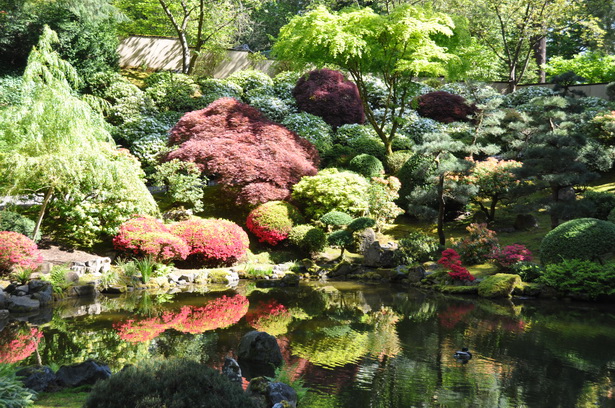 japanese-garden-pond-39_15 Японско градинско езерце