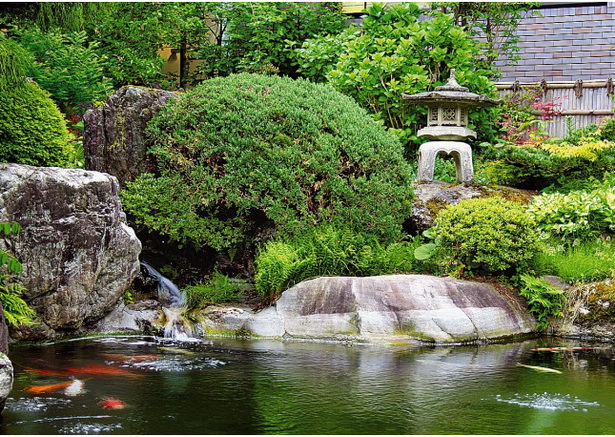 japanese-garden-pond-39_18 Японско градинско езерце