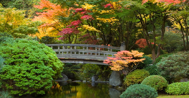 japanese-garden-pond-39_2 Японско градинско езерце