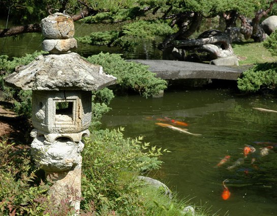 japanese-garden-pond-39_8 Японско градинско езерце