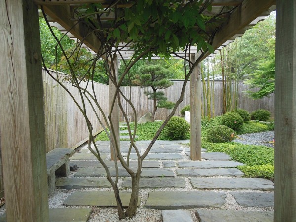 japanese-garden-society-84_2 Японското градинско общество