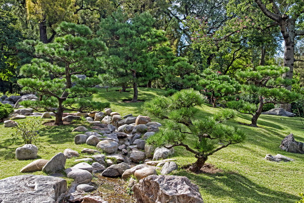 japanese-garden-trees-80_16 Японски градински дървета
