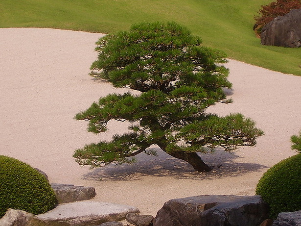 japanese-garden-trees-80_4 Японски градински дървета