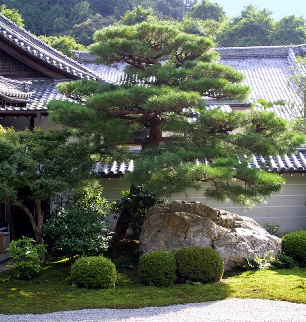 japanese-garden-trees-80_5 Японски градински дървета