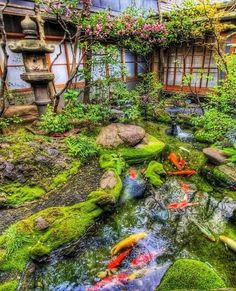 japanese-garden-with-pond-10_10 Японска градина с езерце