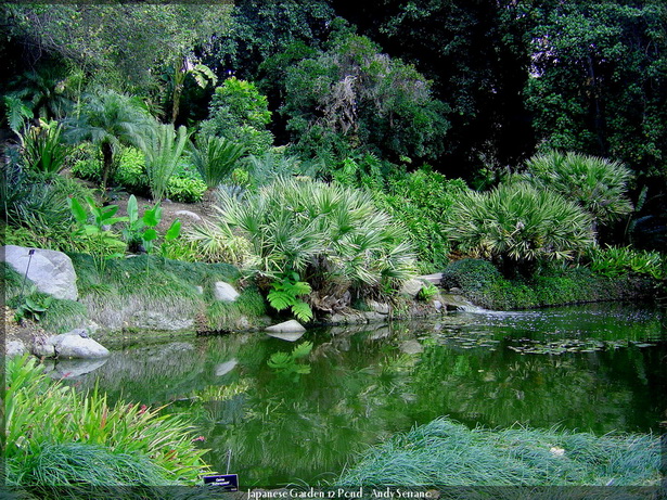 japanese-garden-with-pond-10_16 Японска градина с езерце