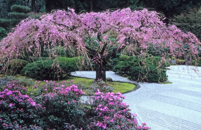 japanese-gardens-images-76_7 Японски градини снимки