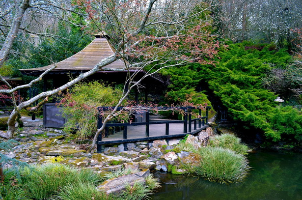 japanese-gardens-in-england-98_14 Японски градини в Англия