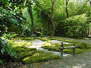 japanese-gardens-in-england-98_3 Японски градини в Англия
