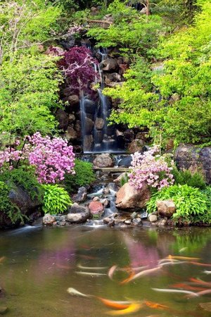 japanese-gardens-pictures-60_10 Японски градини снимки