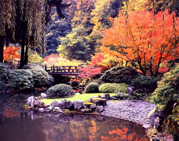 japanese-gardens-plants-35_11 Японски градински растения