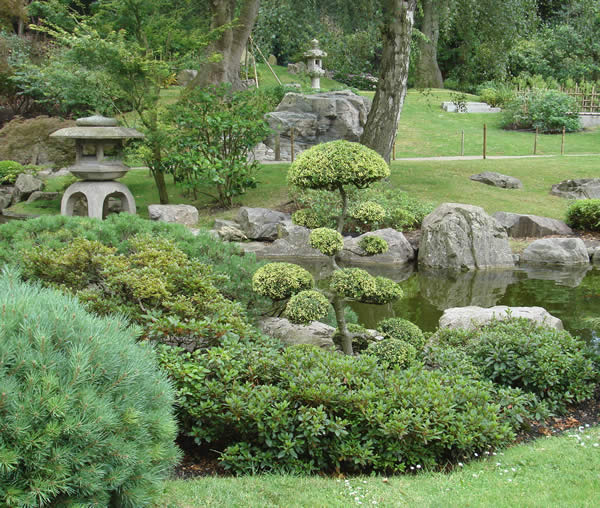 japanese-gardens-plants-35_14 Японски градински растения