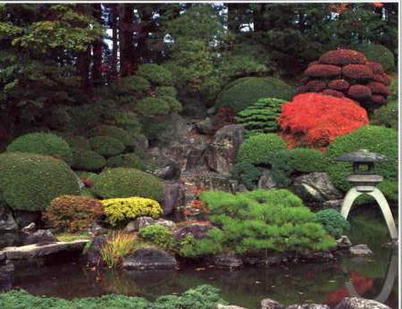 japanese-gardens-plants-35_7 Японски градински растения