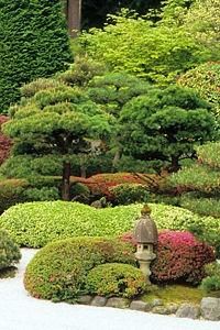 japanese-gardens-plants-35_8 Японски градински растения