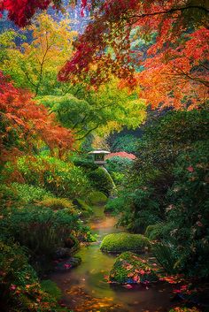 japanese-gardens-59_2 Японски градини