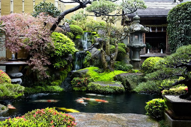 japanese-koi-garden-09 Японска градина кои
