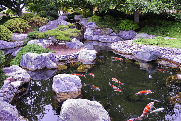 japanese-koi-garden-09_13 Японска градина кои