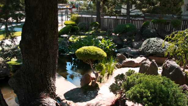 japanese-koi-garden-09_16 Японска градина кои