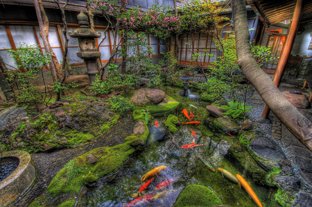 japanese-koi-garden-09_9 Японска градина кои