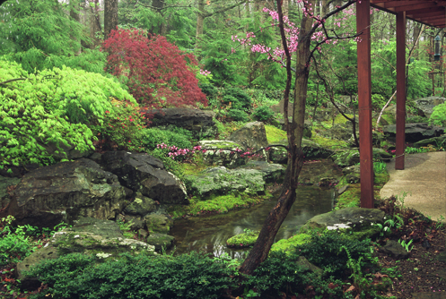 japanese-landscaping-pictures-07_10 Японски озеленяване снимки