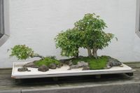 japanese-miniature-garden-24_14 Японска миниатюрна градина