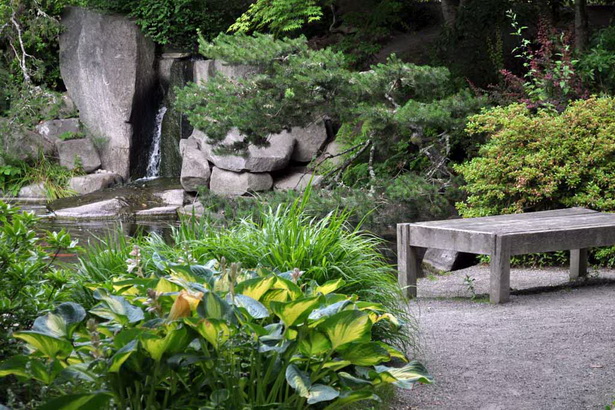 japanese-plants-for-garden-14_9 Японски растения за градината