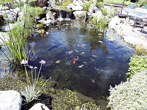 japanese-pond-garden-93_10 Японска езерна градина