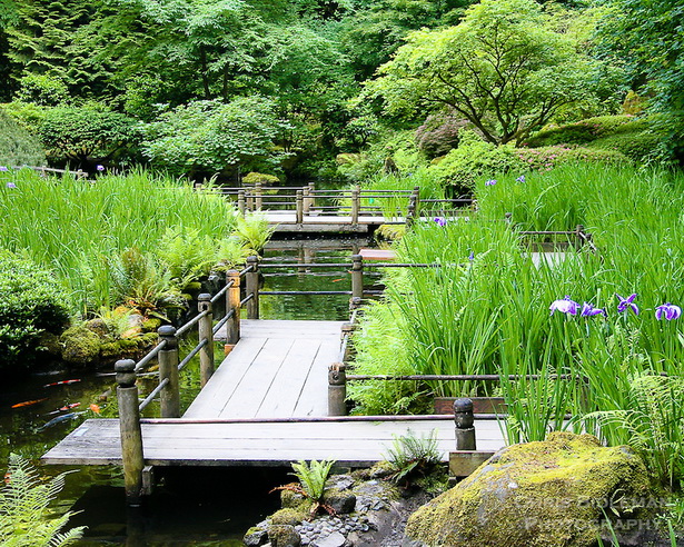 japanese-pond-garden-93_11 Японска езерна градина