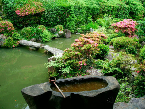 japanese-rock-garden-plants-75_13 Японски алпинеуми