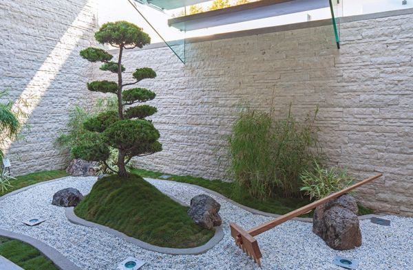 japanese-rock-garden-plants-75_15 Японски алпинеуми