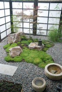 japanese-rock-garden-plants-75_18 Японски алпинеуми