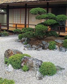 japanese-style-front-yard-90_7 Преден двор в японски стил