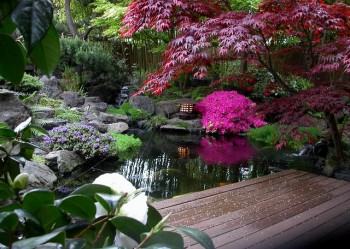 japanese-style-garden-01_19 Градина в японски стил