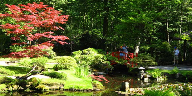 japanese-style-gardens-uk-72_12 Градини в японски стил Великобритания